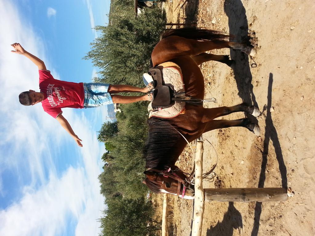 Patara Ranch Hotel מראה חיצוני תמונה
