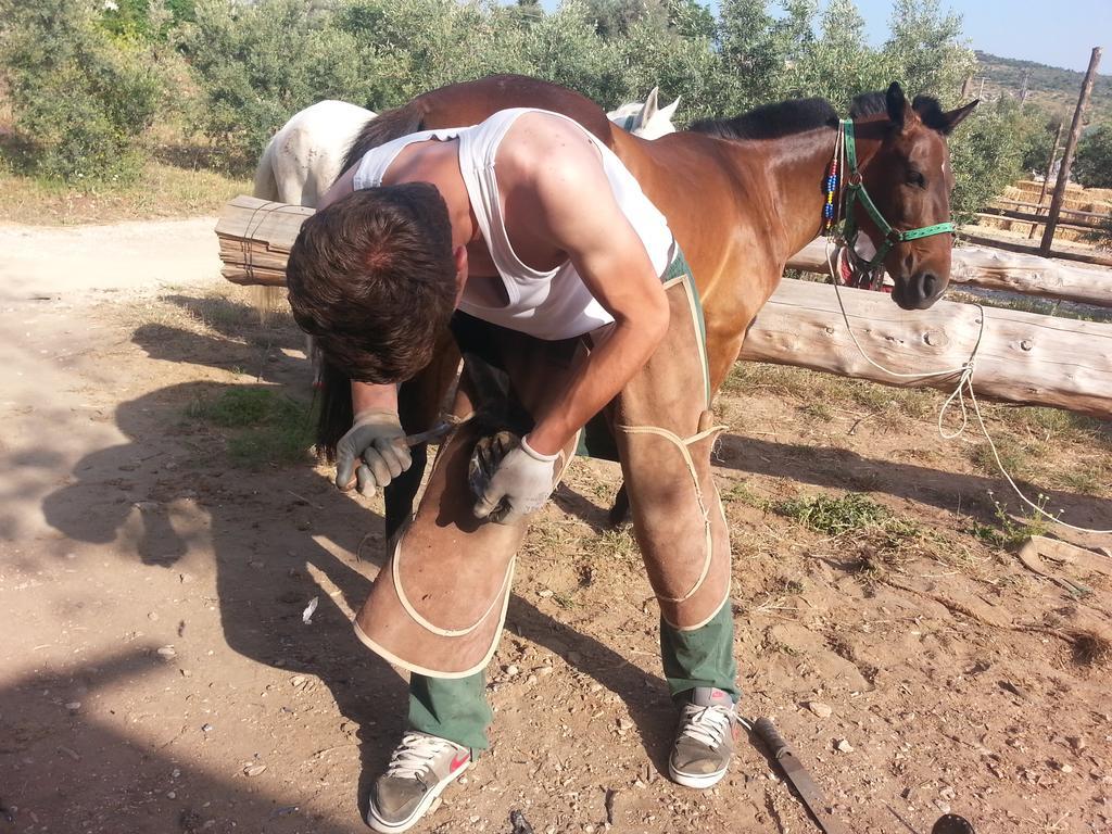 Patara Ranch Hotel מראה חיצוני תמונה
